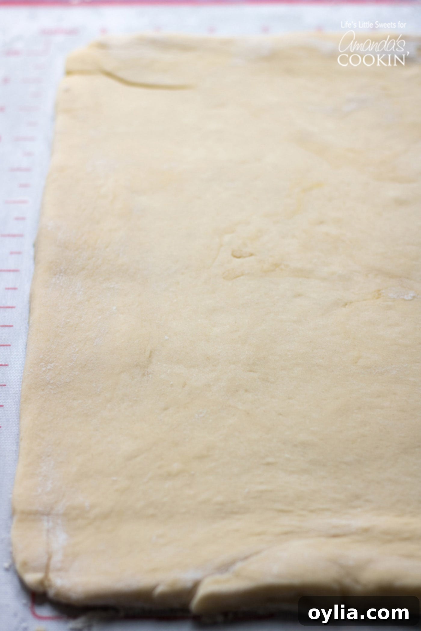Homemade Cinnamon Roll dough rolled out on a pastry mat