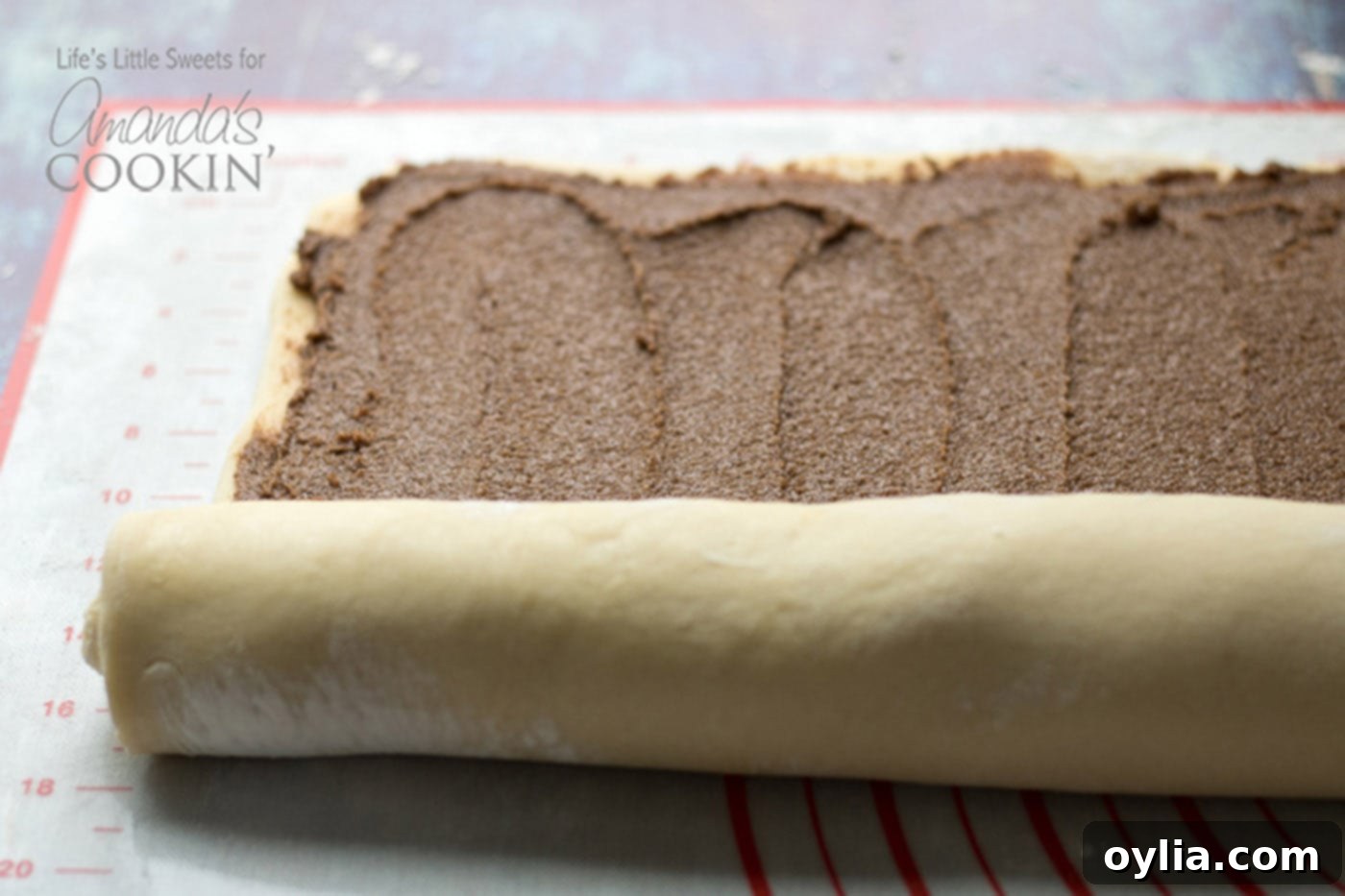 Homemade Cinnamon Rolls dough rolled up