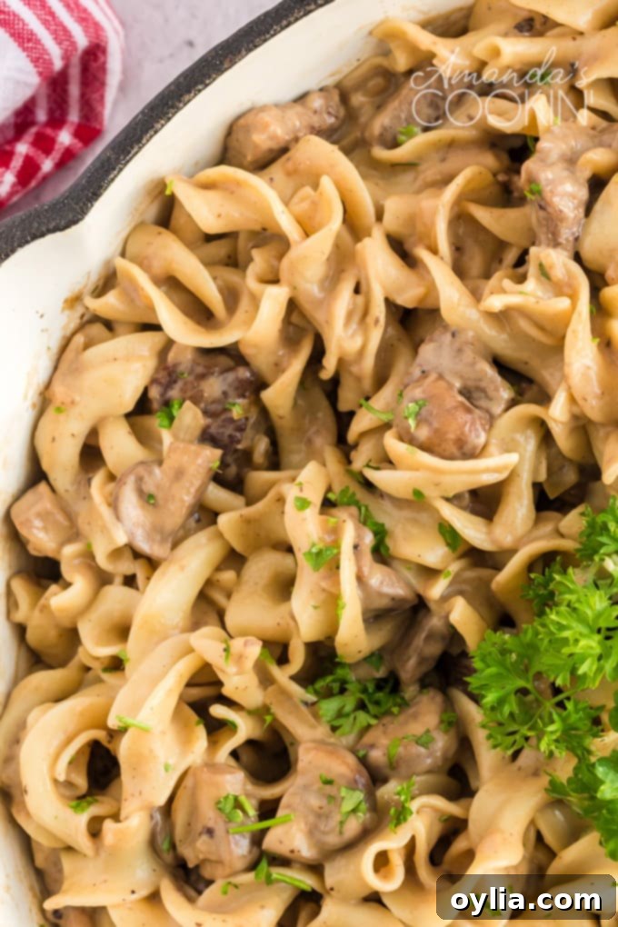 This classic beef stroganoff recipe from scratch features tender slices of steak and savory mushrooms smothered in creamy brown gravy that's ready in 30! #beefrecipes #beefstroganoff #pasta #pastarecipes #dinnerrecipes #mushrooms #skillet #skilletdinners #easydinnerrecipes #noodles Close-up of beef stroganoff with egg noodles in a white pan, highlighting the creamy sauce and tender beef.