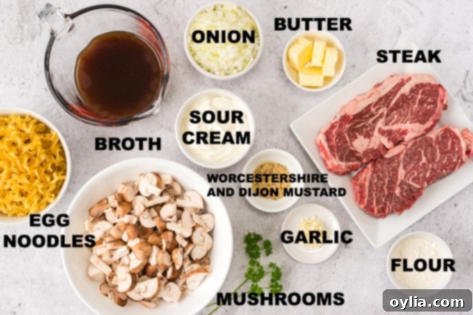 This classic beef stroganoff recipe from scratch features tender slices of steak and savory mushrooms smothered in creamy brown gravy that's ready in 30! All the fresh ingredients for homemade beef stroganoff laid out on a cutting board, including steak, mushrooms, onions, and garlic.