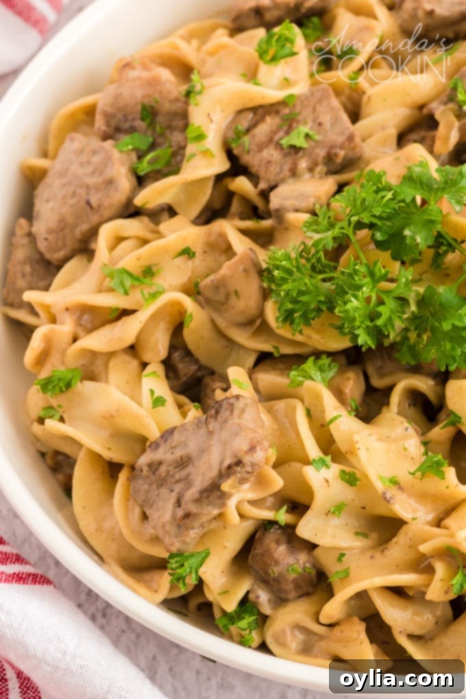 This classic beef stroganoff recipe from scratch features tender slices of steak and savory mushrooms smothered in creamy brown gravy that's ready in 30! #beefrecipes #beefstroganoff #pasta #pastarecipes #dinnerrecipes #mushrooms #skillet #skilletdinners #easydinnerrecipes #noodles Bowl of classic beef stroganoff with hot egg noodles, garnished with fresh parsley.