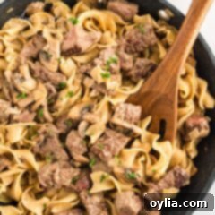 Classic Beef Stroganoff 4 pan of beef stroganoff