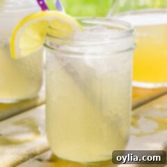 Tennessee Zest 8 Mason jar glass of Lynchburg lemonade with a straw and lemon wedge garnish.