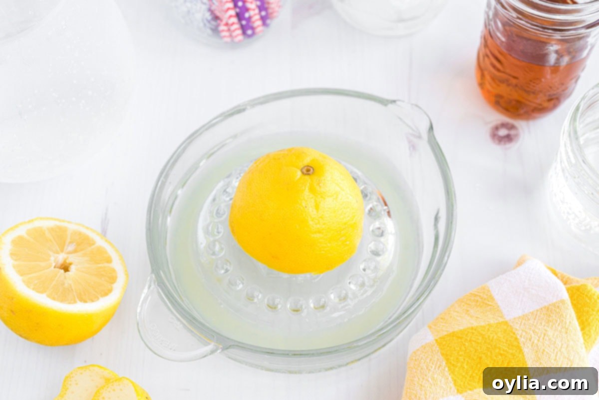 Tennessee Zest 3 juicing a lemon on citrus juicer