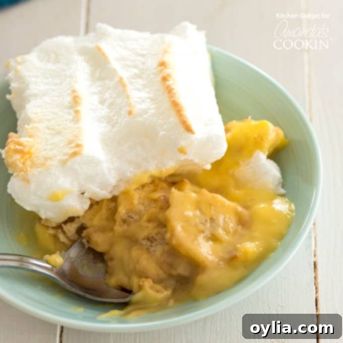 A beautifully presented bowl of homemade banana pudding with layers visible