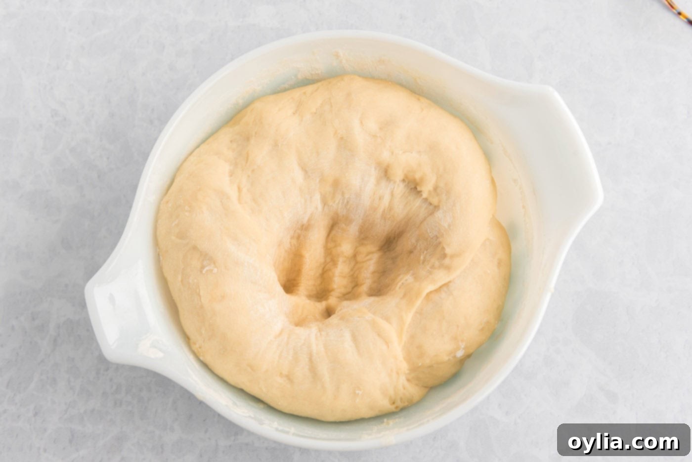 dough with a punch mark in a bowl