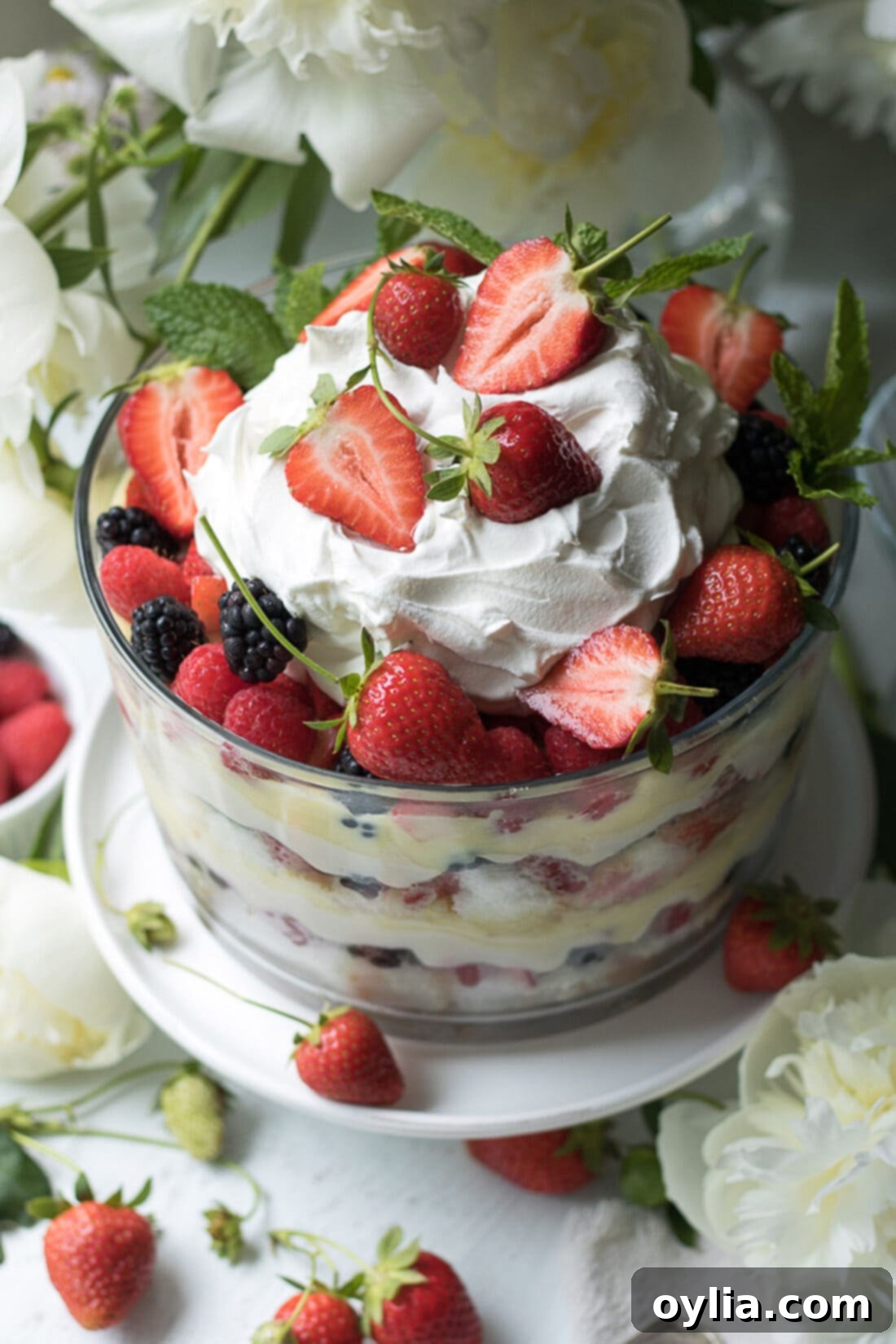 Top of a Mixed Berry Trifle