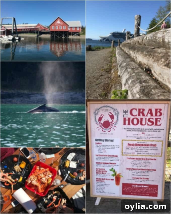 Collage of stunning photos from Icy Strait Point in Alaska, featuring whales, marine life, and scenic landscapes.