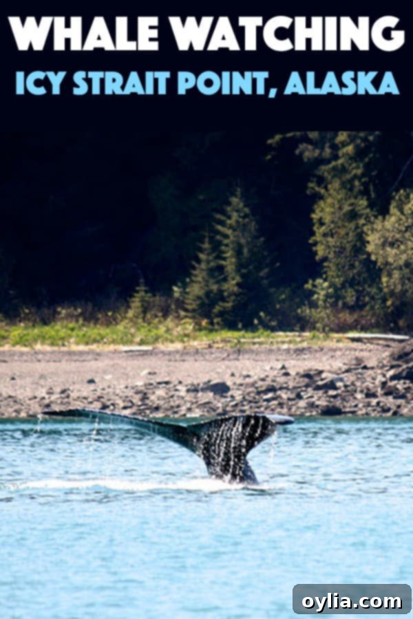 A dramatic shot of a whale tail emerging from the water, often used for promotional pins and sharing.