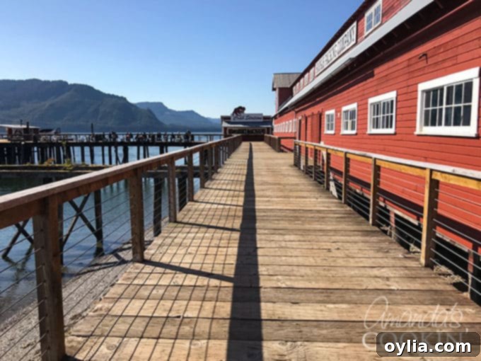 A picturesque view of the Icy Strait Point dock with shops and buildings, leading to a cruise ship in the distance.