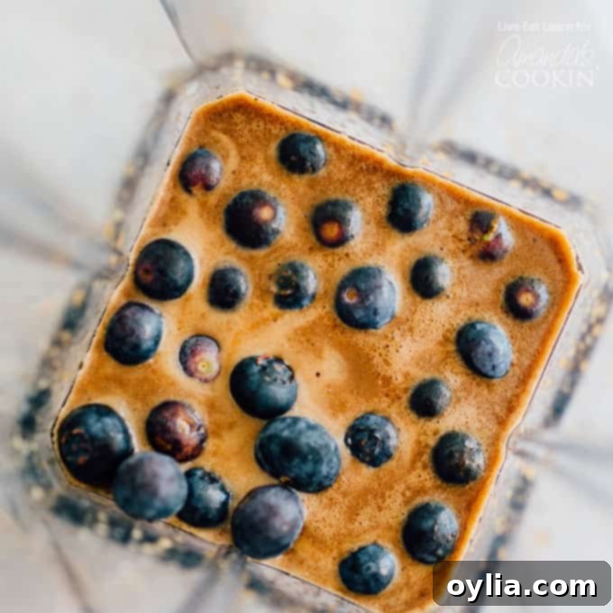 Blueberry Vinaigrette ingredients in blender, showing fresh blueberries, balsamic vinegar, honey, lemon juice, salt, pepper, and olive oil before blending.