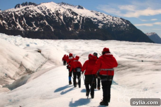 Glacier trekkers walking on the Mendenhall Glacier, surrounded by stunning ice formations