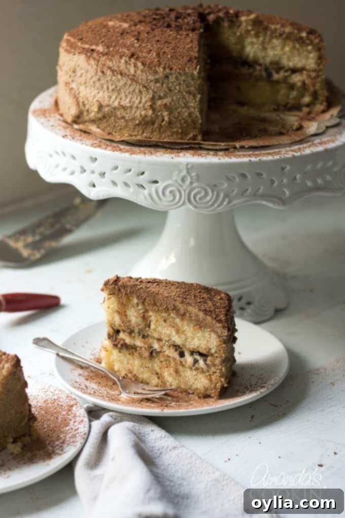 tiramisu cake slice
