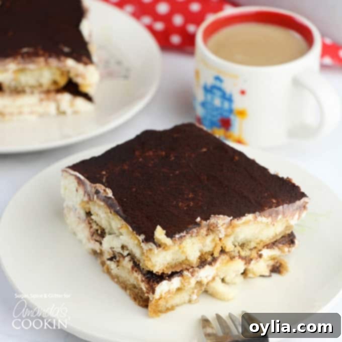 Tiramisu cake on a plate
