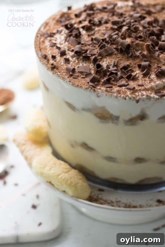 Tiramisu trifle close up in trifle bowl