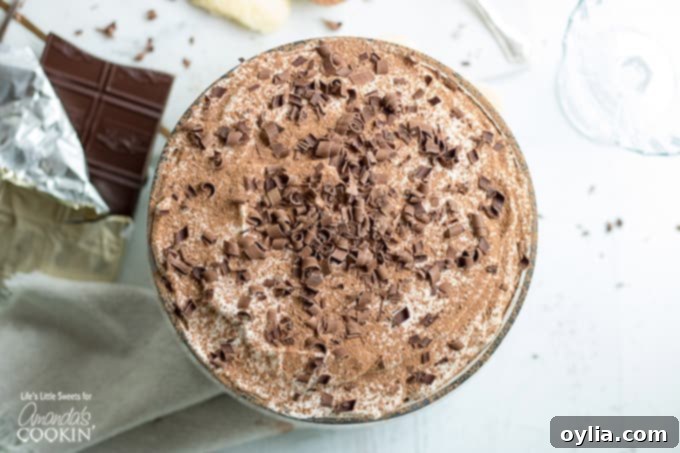 Tiramisu trifle from above with chocolate shavings