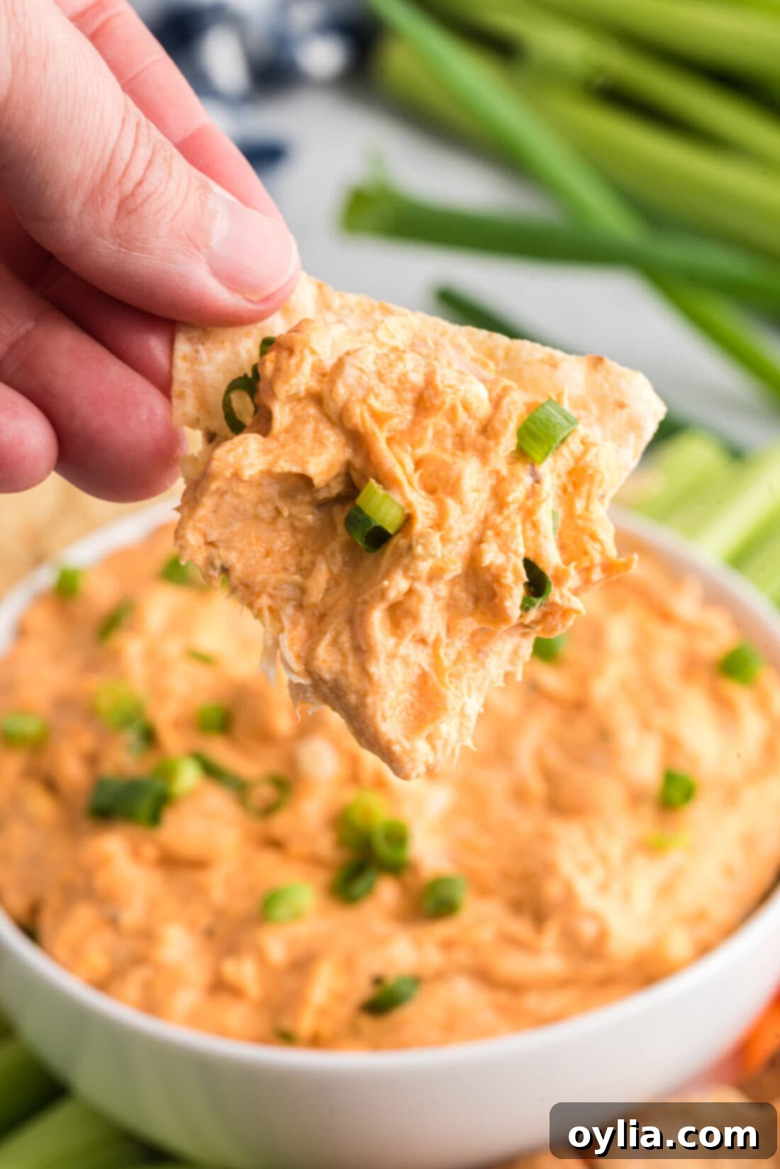 Buffalo Chicken Dip on a tortilla chip