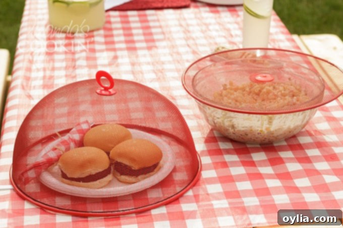 Screen covers protecting food on a picnic table at a backyard barbecue.