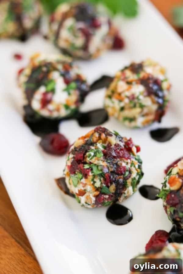 Delicate cranberry pecan goat cheese bites arranged on a platter, elegant appetizers inspired by a scenic railway tour.