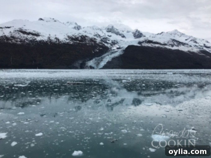 Pieces of ice gracefully floating in the tranquil waters of Glacier Bay, showcasing Alaska's stunning natural beauty.