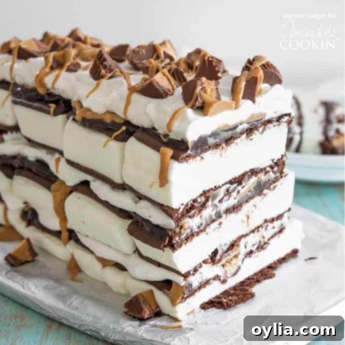 Close-up of a delicious no-bake peanut butter ice cream sandwich cake, showing layers of fudge, peanut butter, and whipped topping on a white platter.