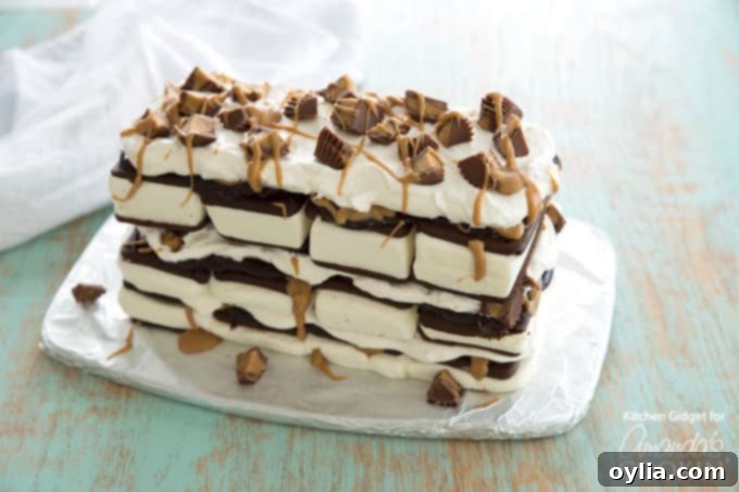 A beautifully layered Peanut Butter Ice Cream Sandwich Cake, ready to be frozen and served, showcasing its no-bake appeal.