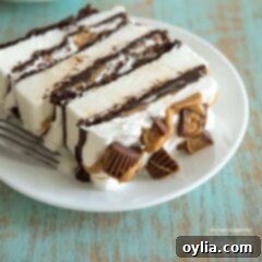 slice of ice cream cake on a plate