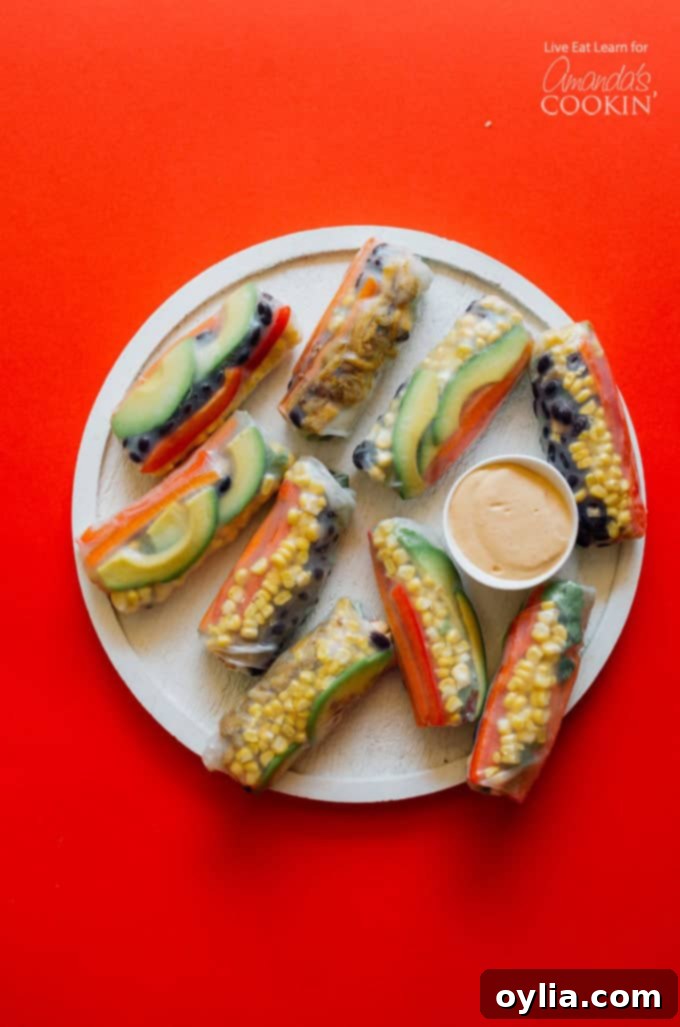 Mexican style summer rolls