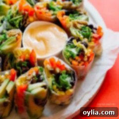 Fiesta Fresh Rolls 2 summer rolls on a plate with dip in the center