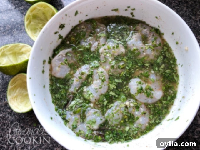 marinating chili lime shrimp