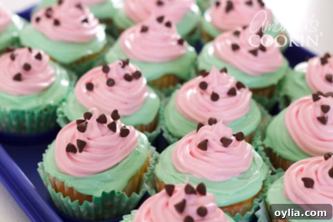 Finished watermelon poke cupcakes with chocolate chip 'seeds'