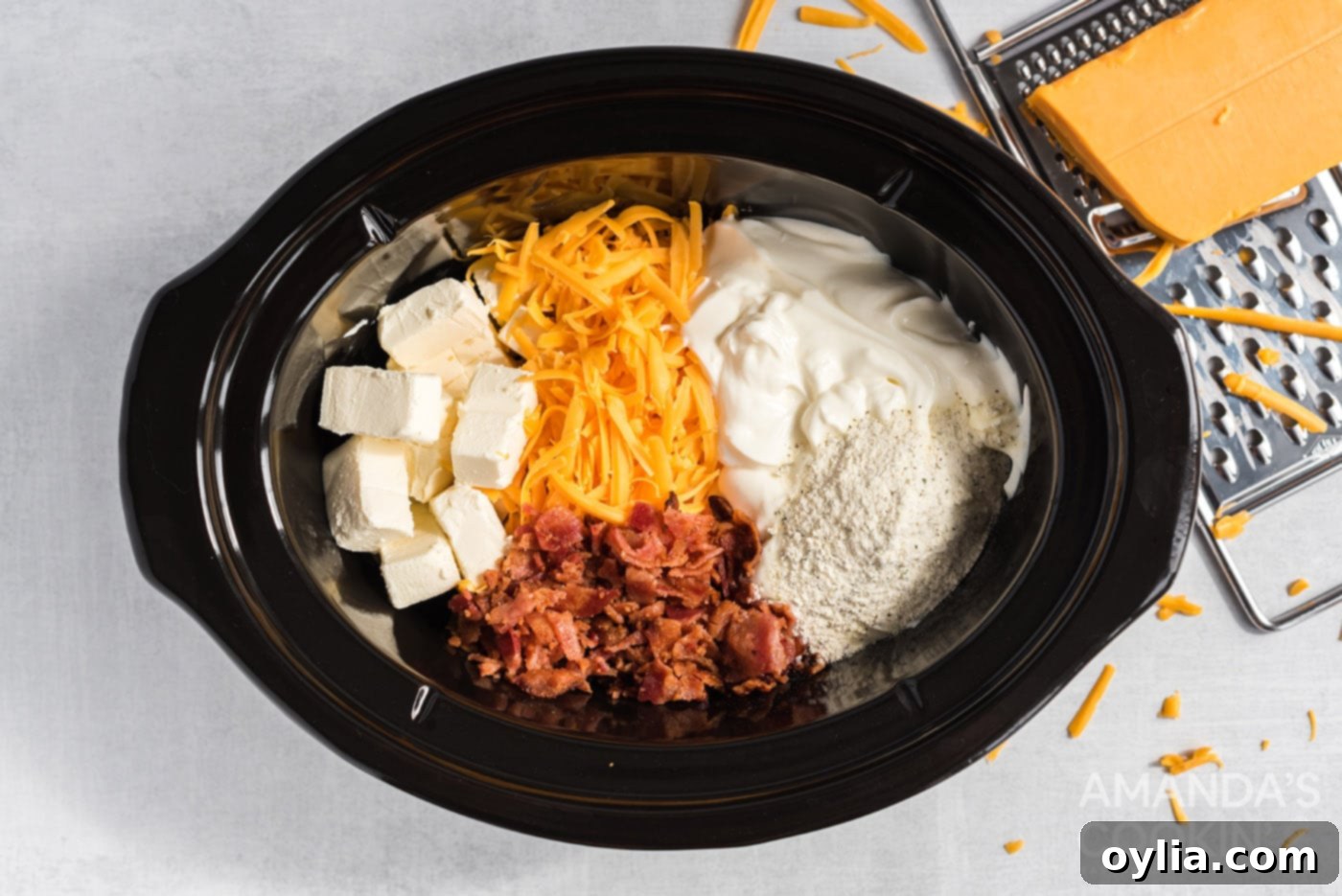 ingredients for cheese dip in the crockpot