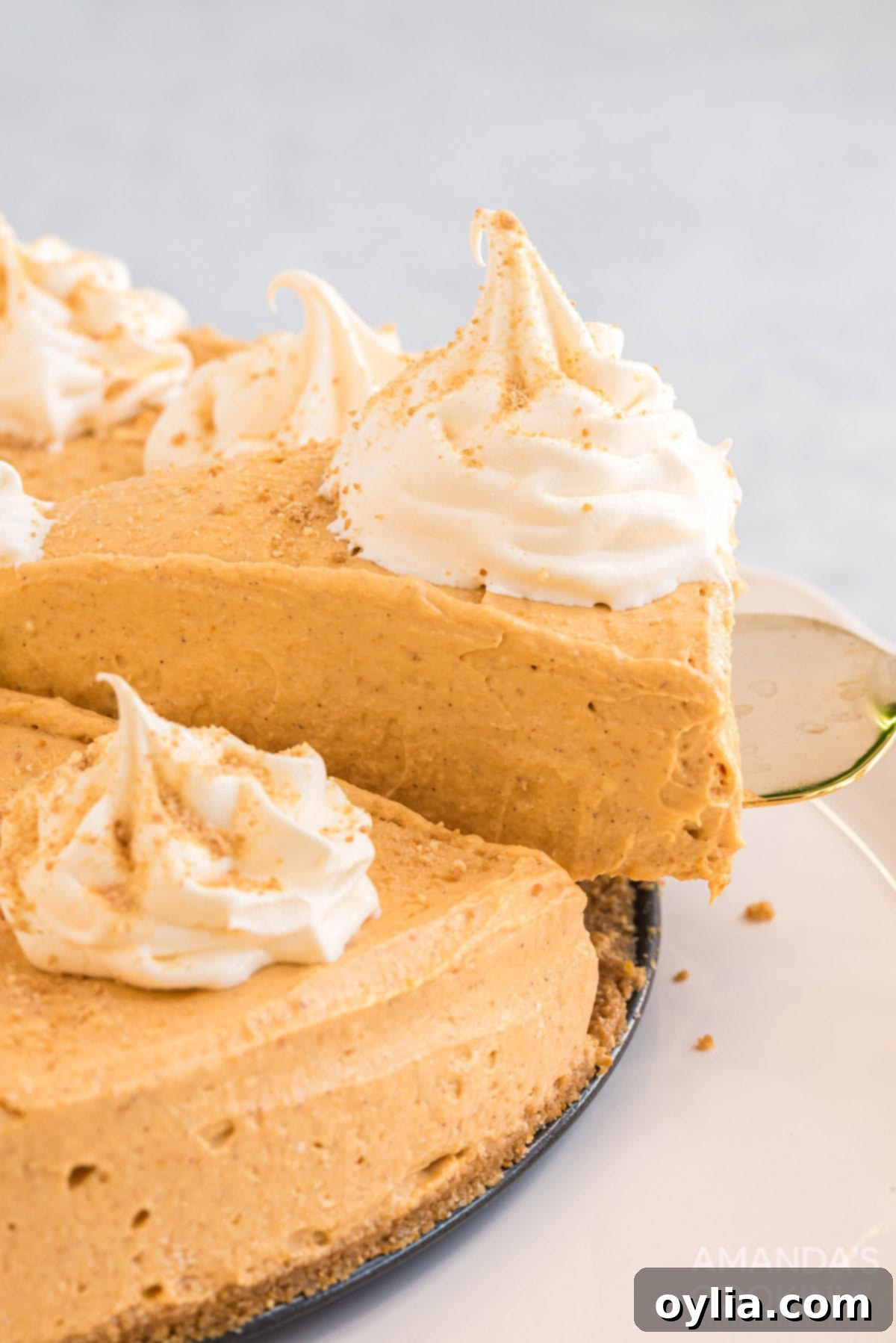 A perfectly set slice of no-bake pumpkin cheesecake being lifted from the pan with a pie server, ready to be enjoyed.