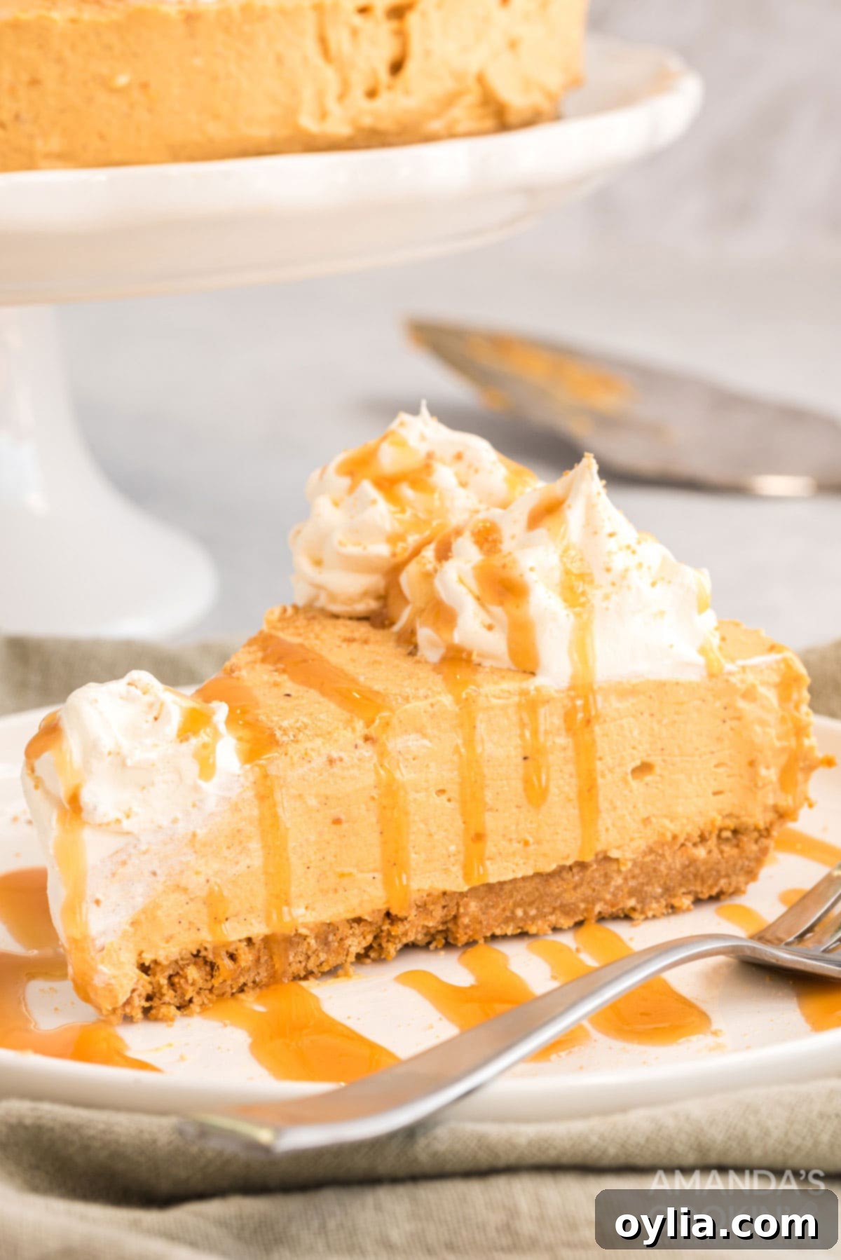 A beautiful slice of no-bake pumpkin cheesecake on a white plate, elegantly drizzled with caramel sauce and ready to be savored.
