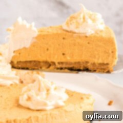 A vibrant slice of pumpkin cheesecake with a creamy filling and a golden crust, ready to be enjoyed.