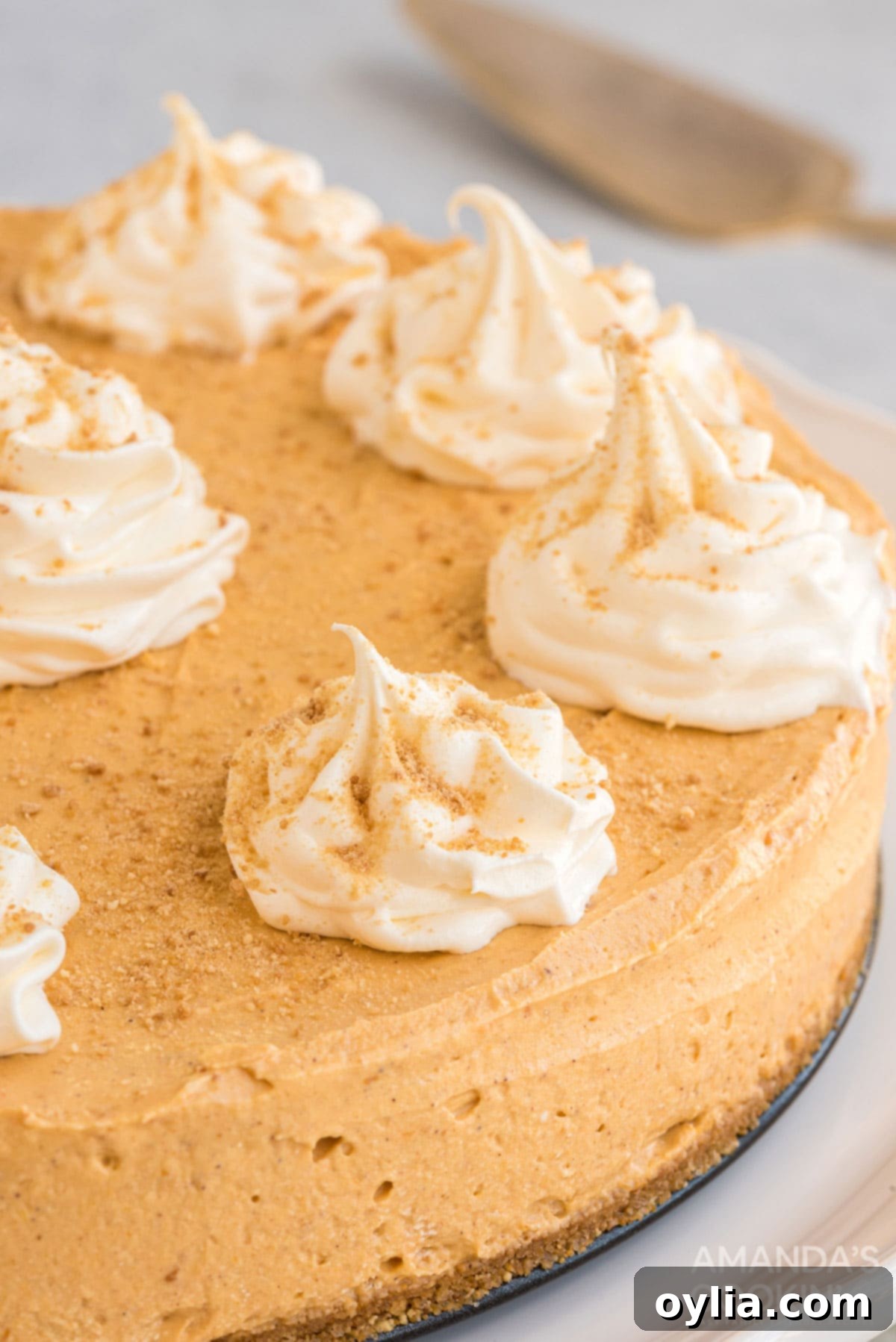 A whole no-bake pumpkin cheesecake garnished with generous dollops of whipped topping, ready to be served at a fall gathering.