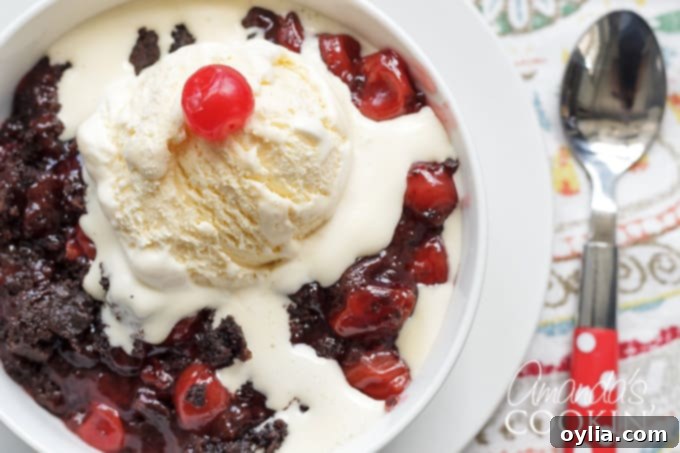 Close up of chocolate cherry cobbler with melty vanilla ice cream