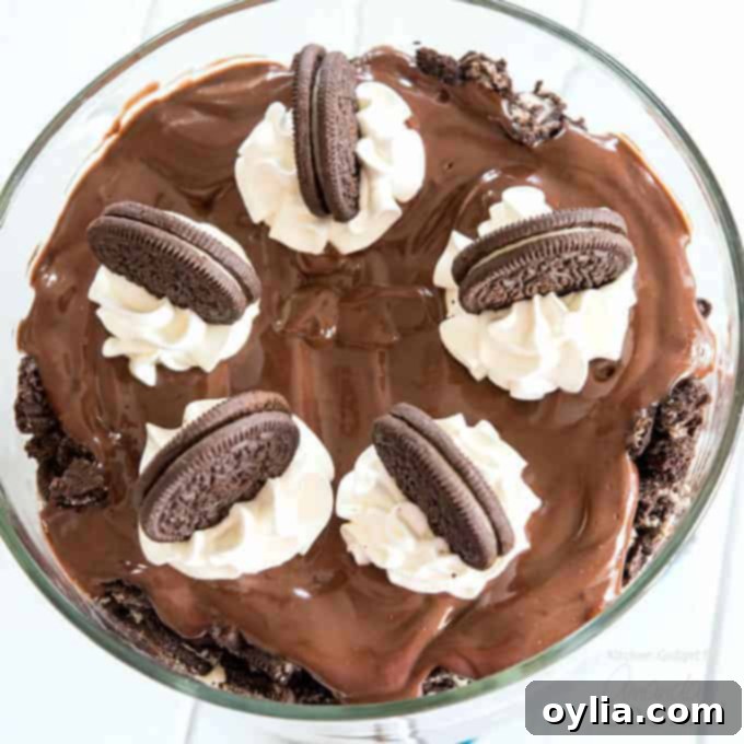 Chocolate Lasagna Trifle overhead shot
