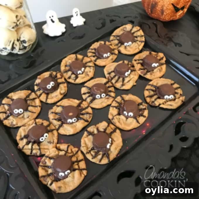 A plate of spooky spider cookies made with peanut butter cookies and chocolate spiders, ready for a Halloween dessert table.