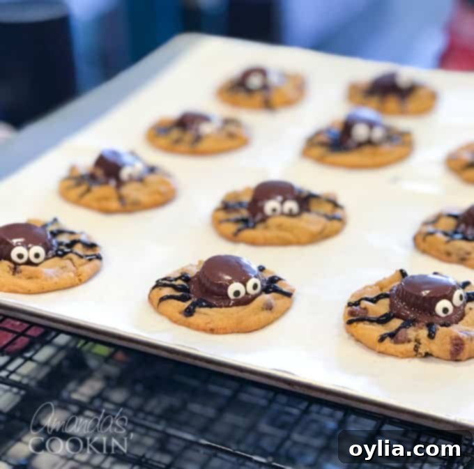 Close-up of a spider cookie featuring a chocolate candy spider on a peanut butter cookie, with candy eyes.