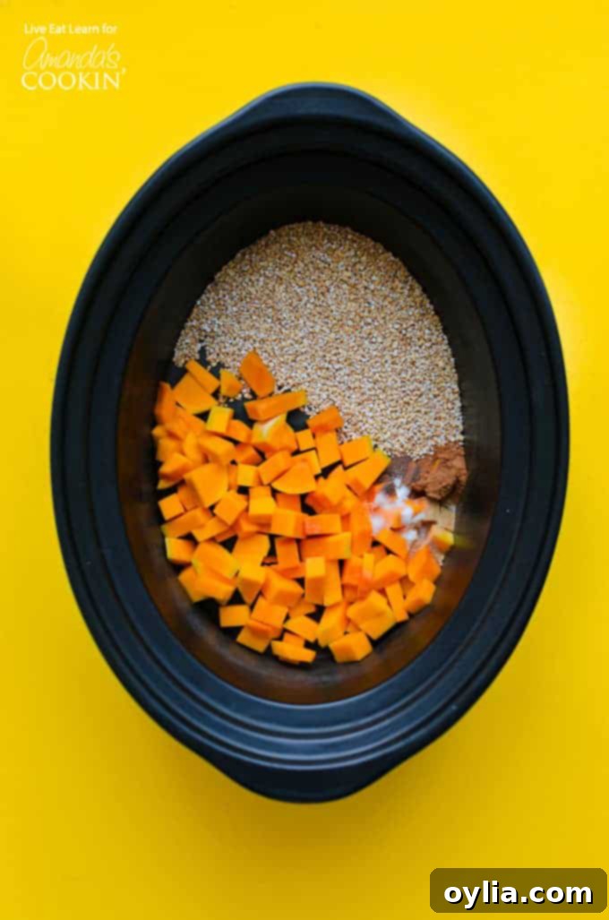 Crockpot Butternut Squash Oatmeal ingredients in slow cooker, ready to cook