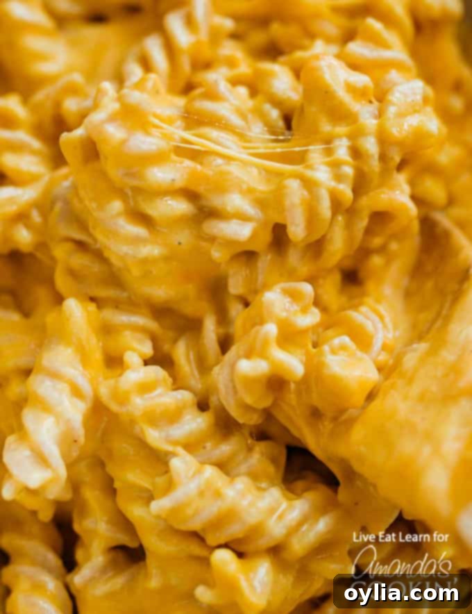 Close-up of a serving of Butternut Squash Mac and Cheese, showcasing its rich, orange hue and creamy texture, with a hint of steam.