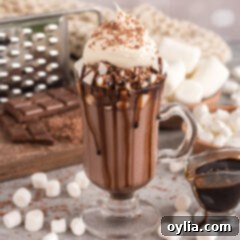 Crockpot Hot Chocolate in a mug topped with chocolate drizzle, whipped cream and chocolate shavings