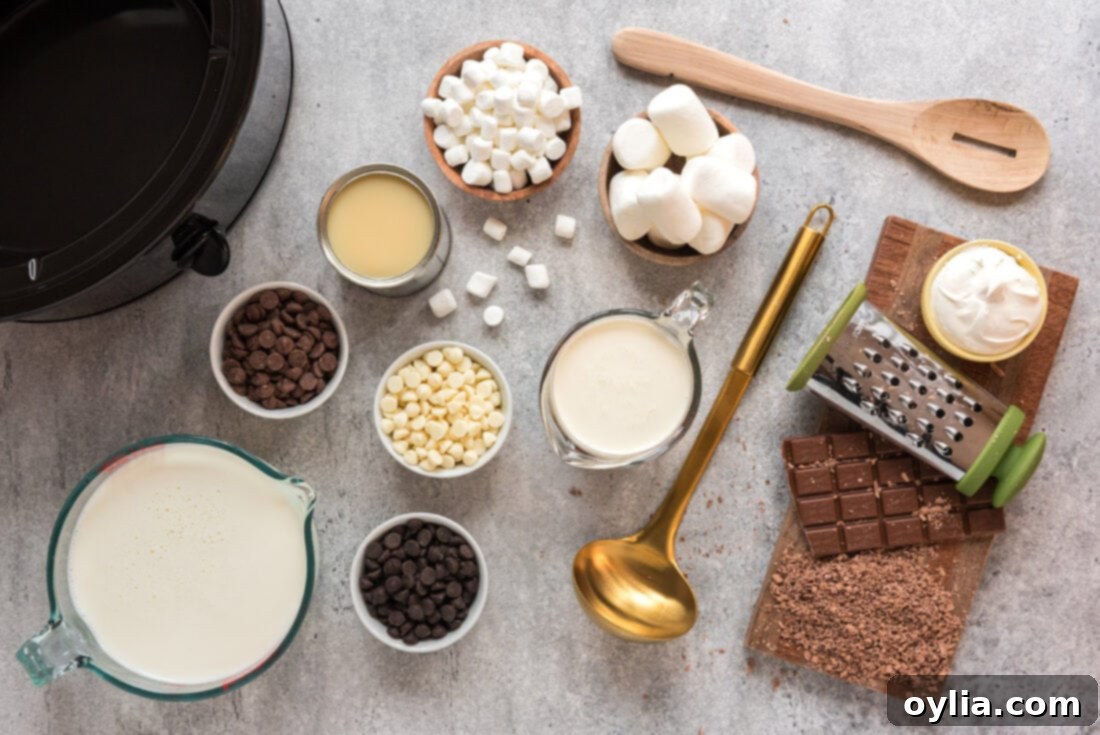 Ingredients for Crockpot Hot Chocolate
