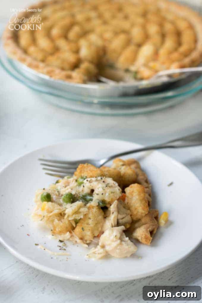 Delicious Chicken Pot Pie Tater Tot Casserole on a plate, ready to be served