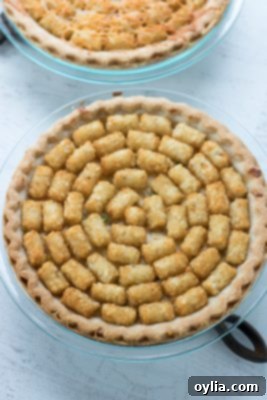 Baked Chicken Pot Pie Tater Tot Casserole, fresh out of the oven, golden brown and bubbling
