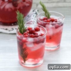 two glasses of holiday punch