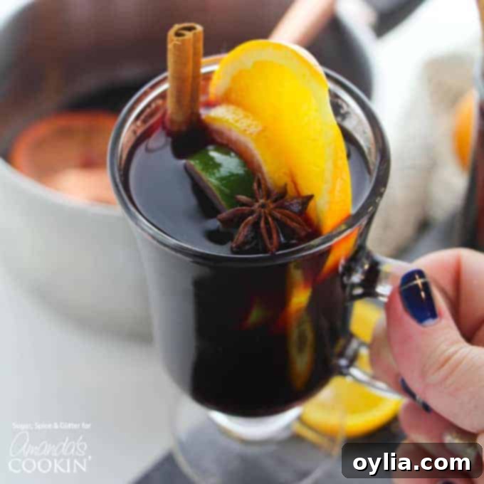 glass mug of mulled wine