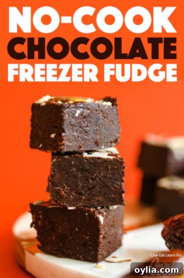Chocolate Freezer Fudge