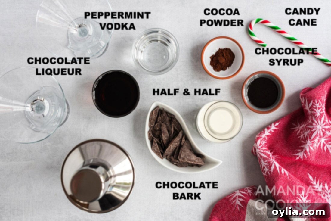 A curated display of all the essential ingredients needed to make a homemade chocolate peppermint martini.